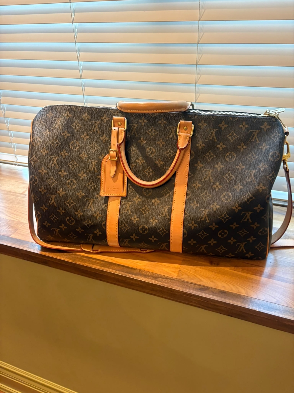 Louis Vuitton Monogram Canvas Travel Bag in Brown and Tan